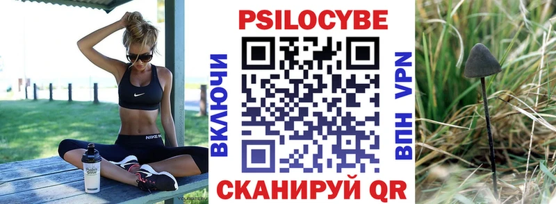 Галлюциногенные грибы Cubensis  наркотики  Полевской 