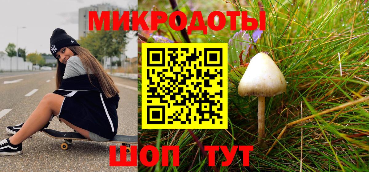 Псилоцибиновые грибы MAGIC MUSHROOMS Полевской