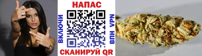 Бошки Шишки план  наркота  OMG маркетплейс  Полевской 