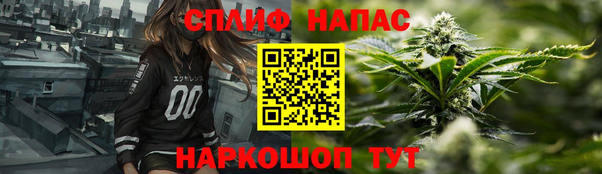 Бошки Шишки план Полевской